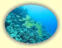 IMG_2007_05_26 18_29_03 * 2180 x 1634 * (535KB)